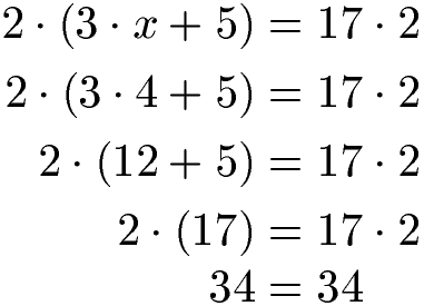 Probe machen Beispiel 3 Gleichung