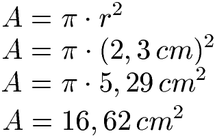 Kreis Fläche Beispiel 1