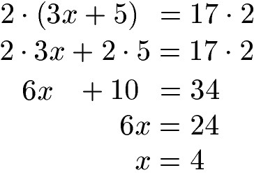 Gleichung lösen Beispiel 3