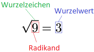 wurzel aus summers